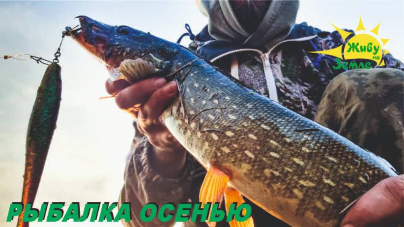 Ловля Щуки Осенью. Размер Приманок меняется смотреть онлайн