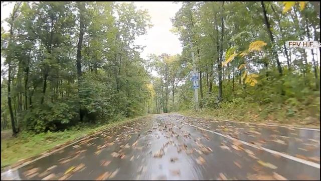 Мокрая Осень.