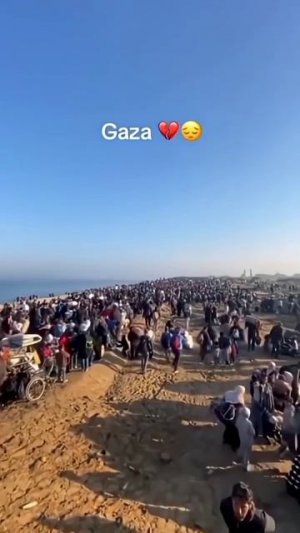 геноцид в Газе