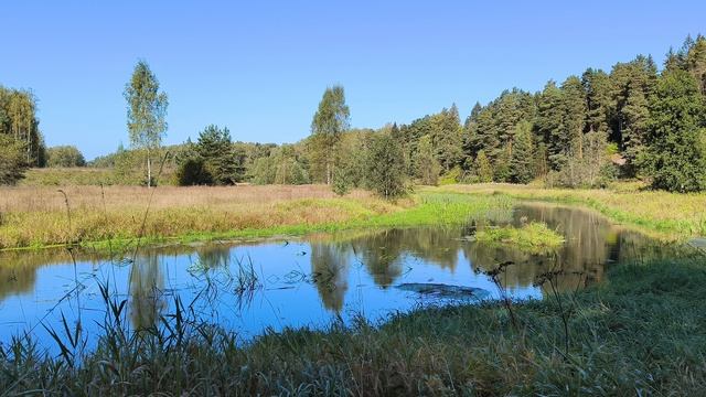 Река Уводь. ч.3. Сентябрь 2025 смотреть онлайн