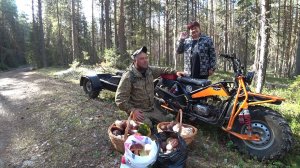 МАМА В ШОКЕ ЧТО ТВОРИТСЯ В ЛЕСУ! НАКОСИЛИ БОРОВИКОВ, НЕ УНЕСТИ \ СБОР БЕЛЫХ ГРИБОВ В БЕЛОМОШНИКЕ.
