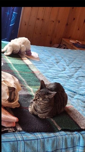 Надеюсь найдутся неравнодушные люди и поздравят его