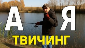 ТВИЧИНГ от А до Я часть 3 варианты проводки и места применения