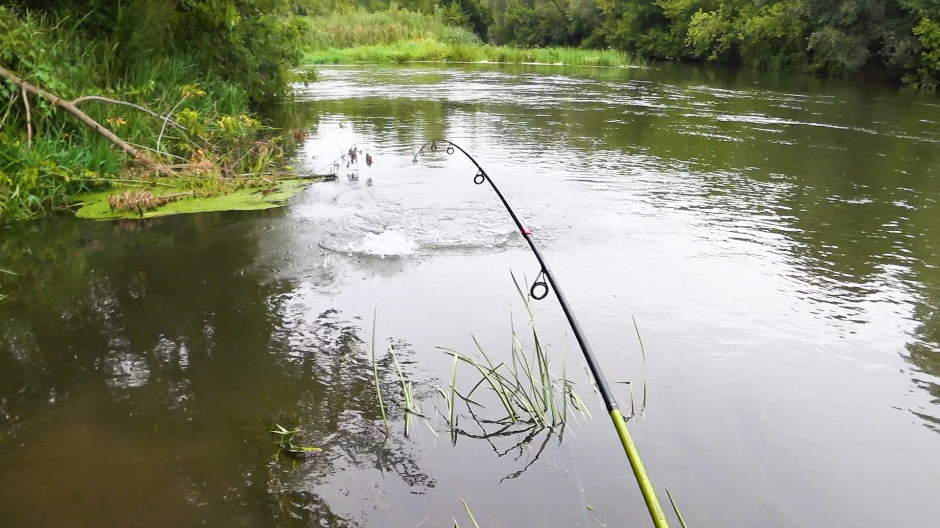 ОСЕННИЙ ЖОР - ПОШЁЛ. Таскаем с другом - Щук