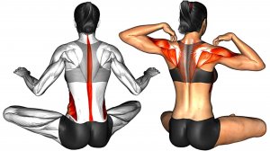 6-минутная тренировка мобильности