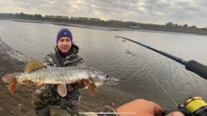 Осенний ЖОР начался? Бешеный окунь и жирующая щука!