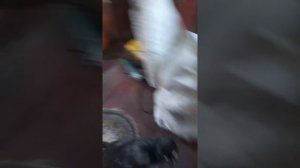 21-09-2025 Урожай 😋