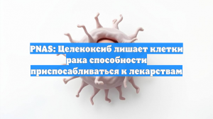 PNAS: Целекоксиб лишает клетки рака способности приспосабливаться к лекарствам