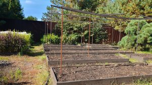 ЭКСПРЕСС-МЕТОД ПОДГОТОВКИ ГРЯДОК К СЛЕДУЮЩЕМУ СЕЗОНУ.