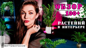 ОБЗОР РАСТЕНИЙ 100+ в квартире 💚 Как чуть не лишиться коллекции за неделю? Адская жара 40+ 🔥