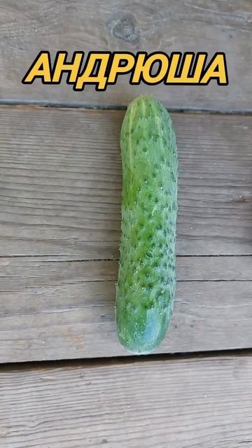 😂Хорошего вечера! смотреть онлайн