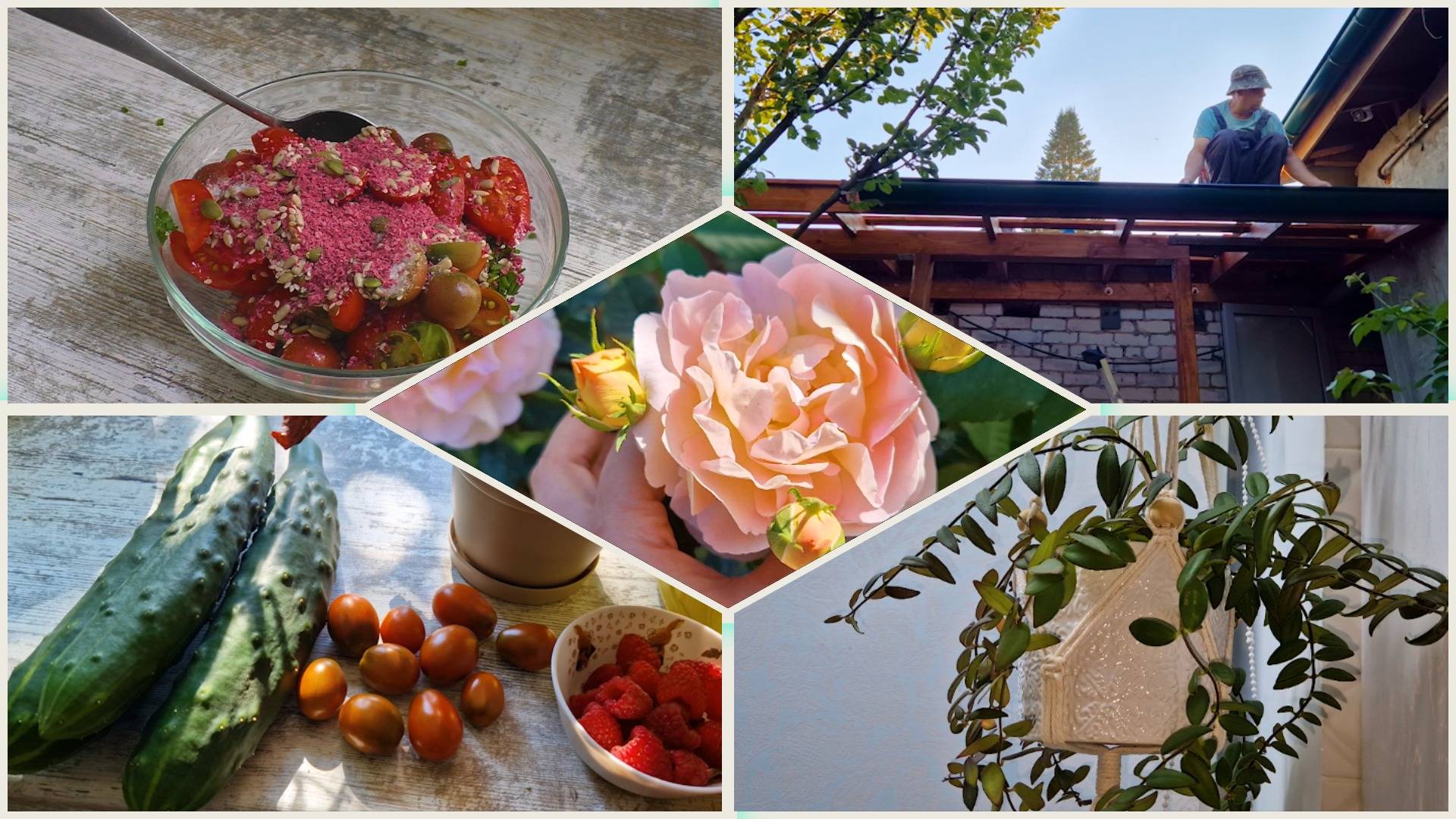 Имеют свойство менять вкус 🍅. Веранда Монтаж желобов. Огород и урожай в начале сентября. смотреть онлайн