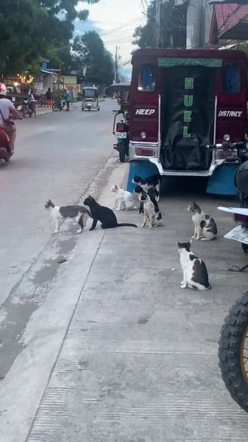 Банда смотреть онлайн