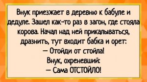 Как мужику в примерочной хорошо было! Сборник свежих анекдотов! Юмор