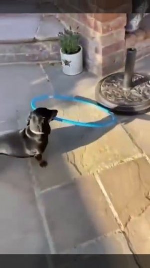 Догадливый ум🤓))