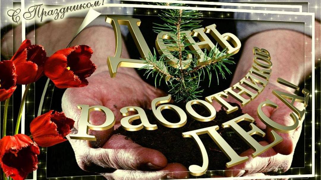 Работники лесной отрасли, с вашим профессиональным праздником! Песня ко Дню работников леса смотреть онлайн