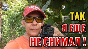 Только при такой посадке виноград будет хорошо расти и плодоносить с средней полосе 🍇