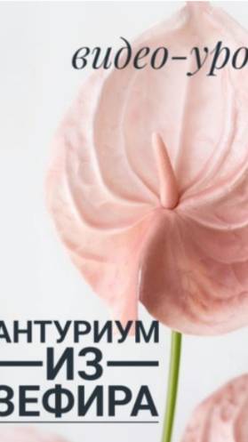 МК. Антуриум из зефира без молдов. смотреть онлайн