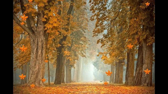 ФУТАЖ - ЗОЛОТАЯ ОСЕНЬ НАСТУПАЕТ !!!!!!!!! смотреть онлайн