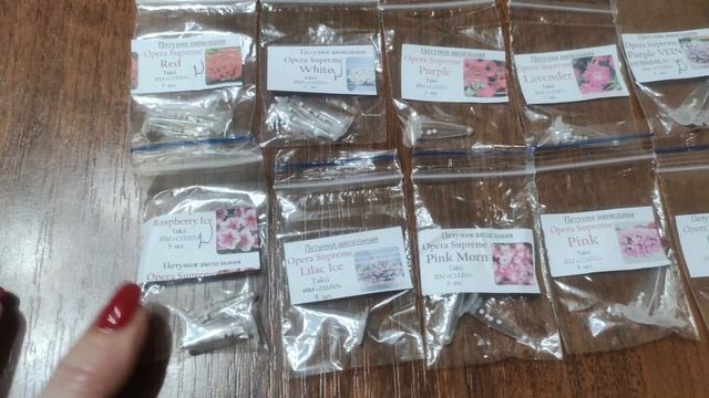 Обзор семян петуний на весну 2026. Весь мой ассортимент петуний . К новому сезону уже готова. смотреть онлайн