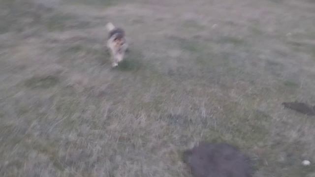 Дик качается не на шутку :) смотреть онлайн