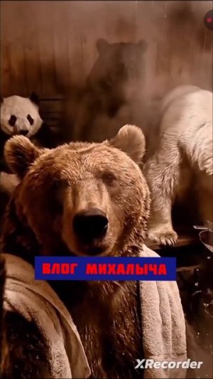 БАНЬКА И ОТДЫХ ПОСЛЕ ВЫЛАСКИ!!!