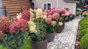 Отвечаю на несколько вопросов, которые часто задают подписчики.