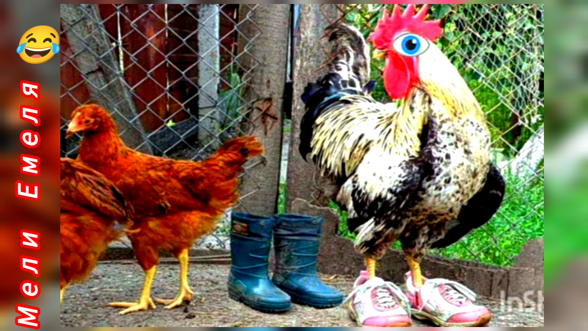 КАК ПЕТУХ ЛИСУ ОБМАНУЛ /аудиосказка🌹💫/В.Бианки/