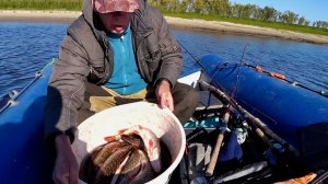 Щука на спиннинг, уже некуда девать. Ну и дела!