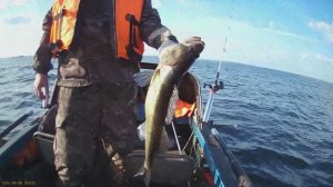 ОНЕЖСКОЕ ОЗЕРО 2024 СЕНТЯБРЬ ТРОЛЛИНГ СУДАКА с ночевкой на острове