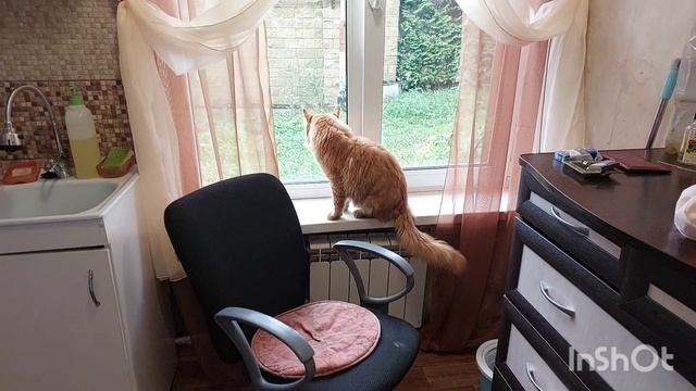 За неделю наснимала на одно видео смотреть онлайн