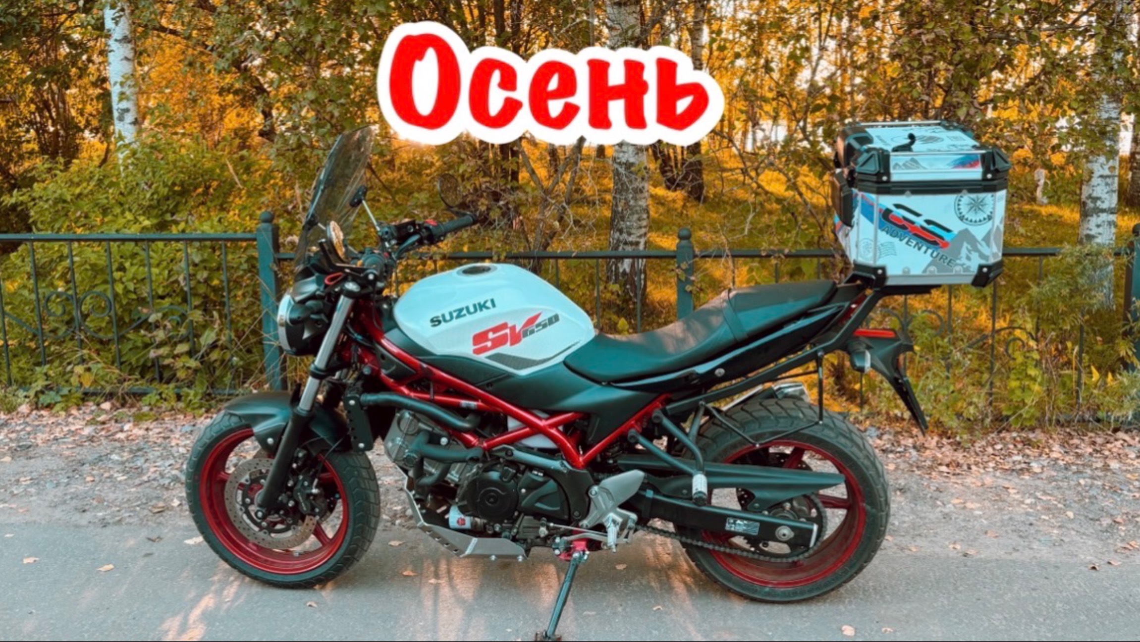 Опять приходит осень, когда никто не просит