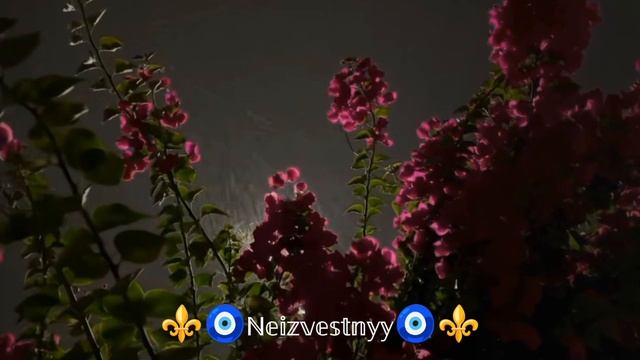 ✨Красивая мелодия ✨