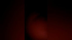 5 минут в шкафу!!!!!!!