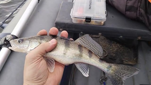 Рыбалка. Отдых и пейзажи