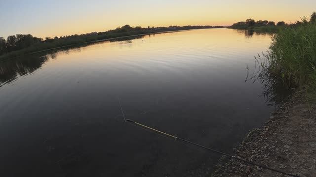 Ночная рыбалка на донки Скородумовка, Северский Донец. Бешеный клёв!