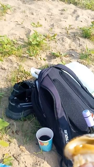 Можно ли есть сырых устриц из Волги в Волгограде))) #шортс #устрицы #волгоград смотреть онлайн