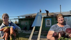 ЩЕДРЫЙ УРОЖАЙ/ОТКАЗАЛИСЬ ОТ КРЫЛЬЦА/УСТАНАВЛИВАЕМ НОВУЮ КРЫШУ ЗА 2 ДНЯ