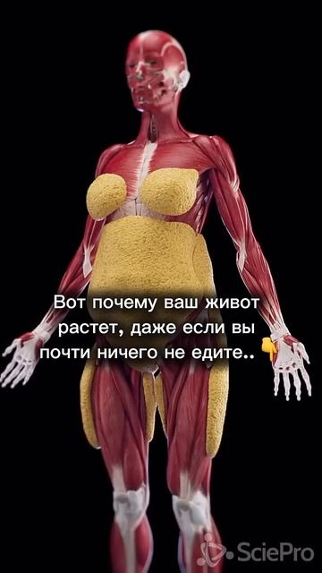 Психосоматика лишнего веса германскаяноваямедицина гнм психология