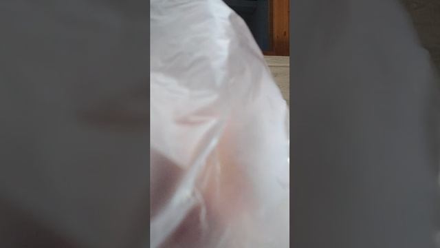 о рро смотреть онлайн