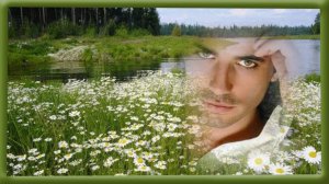 СКОЛЬКО БЫ, КУКУШКА,  ТЫ НЕ КУКОВАЛА...