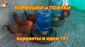 Кормушки и поилки для кур своими руками (191) 🪚✂️ Пошаговая инструкция как сделать 🐔 🐓❣️