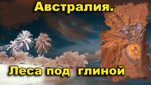 Австралия. Тропические леса под глиной