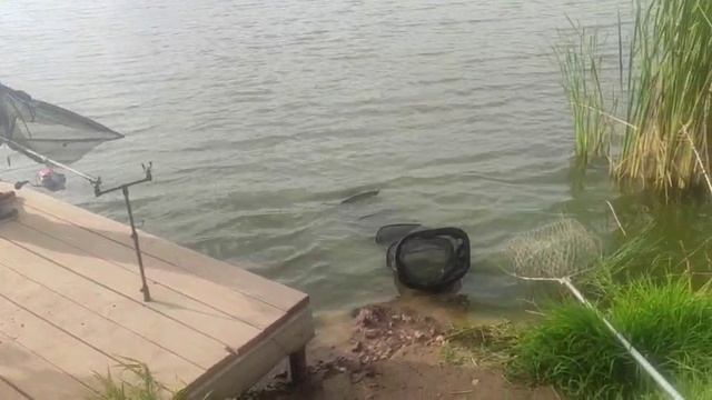 WhatsApp Video 2025-09-21 at 09.15.20 смотреть онлайн