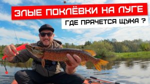 Рыбалка на Луге: где прячутся злые щуки?