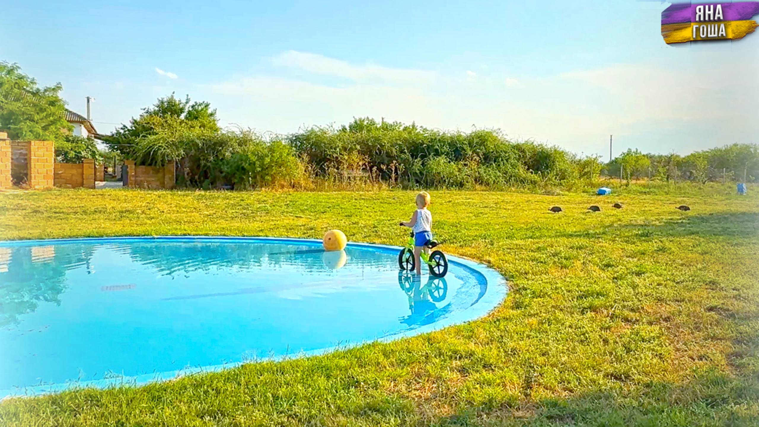 Цыплята цесарки пропали. Зато есть индюшата! Будут ли козлята? Жизнь в селе. Разговоры обо всем. смотреть онлайн