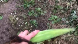 Мопеды сериал | Серия 1626