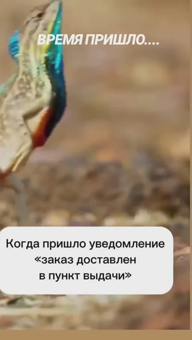 #прикол#юмор#мем#смешно#Luneza#музыка#музыкаонлайн смотреть онлайн