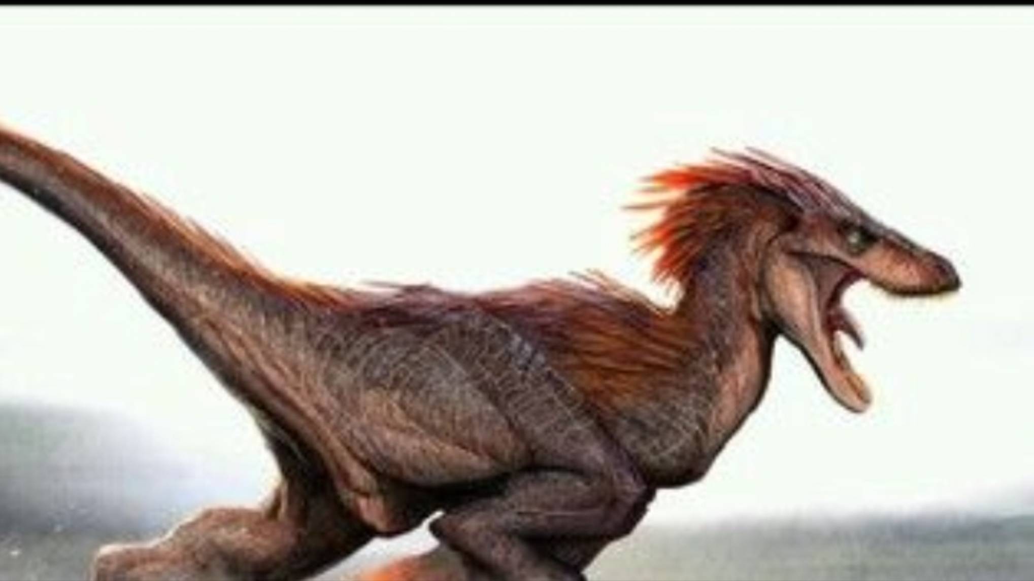 Велоцираптор часть 1 смотреть онлайн