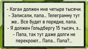 Как Вовочка тётю Свету удивил! Сборник свежих анекдотов! Юмор
